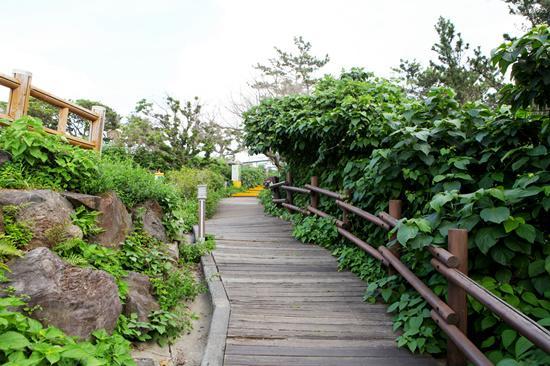 Haeansung Pension Seogwipo Esterno foto